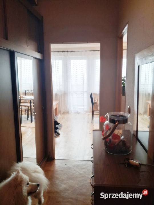 Super Świąteczna Promocja do końca Roku 2925 Żory