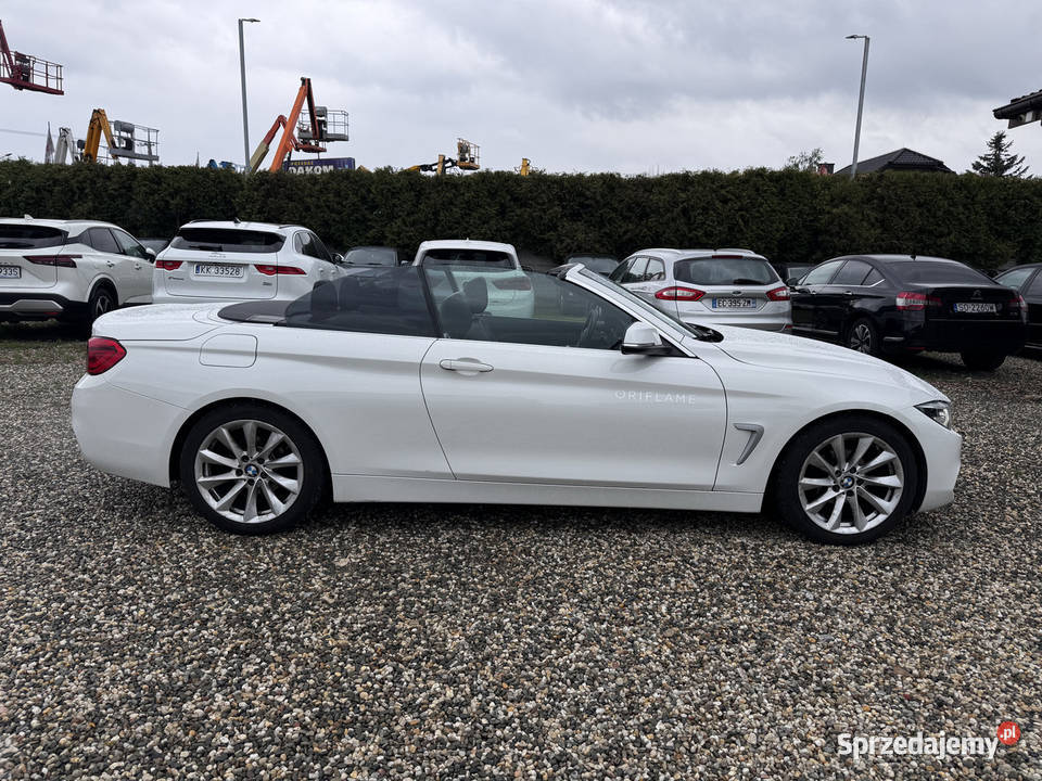BMW 420i 2019r Polski Salon I właściciel centralny zamek śląskie Paniówki