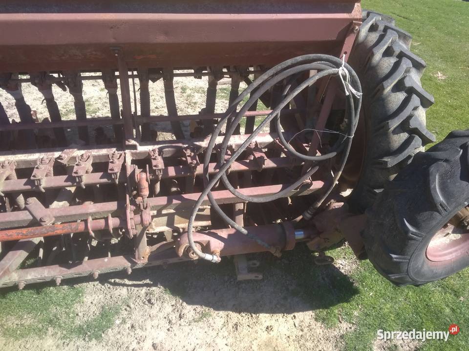 Siewnik rosyjski 4m Tarnawce