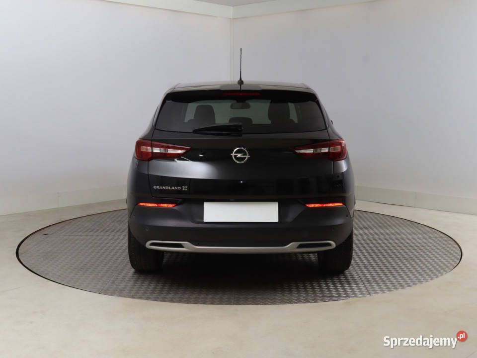 Opel Grandland 12 Turbo kamera cofania dolnośląskie Bielany Wrocławskie