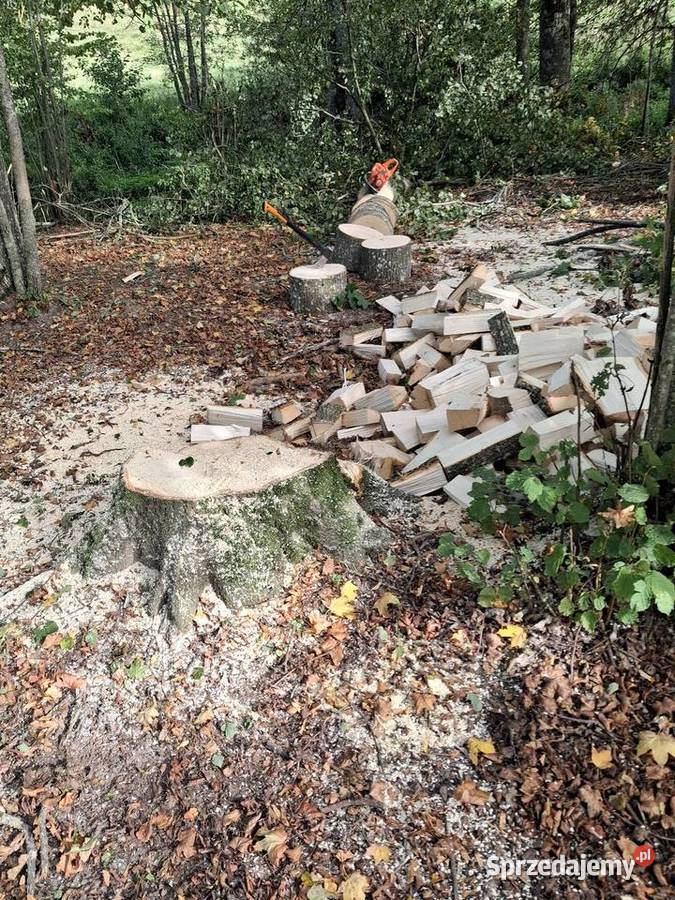 Piłowanie Rabanie drewna Suwałki