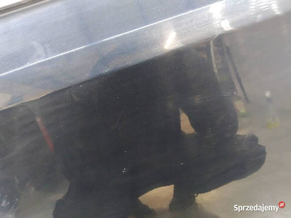 DRZWI LEWE TYŁ KOMBI 1H2 Toyota Auris II 2012 sprzedam