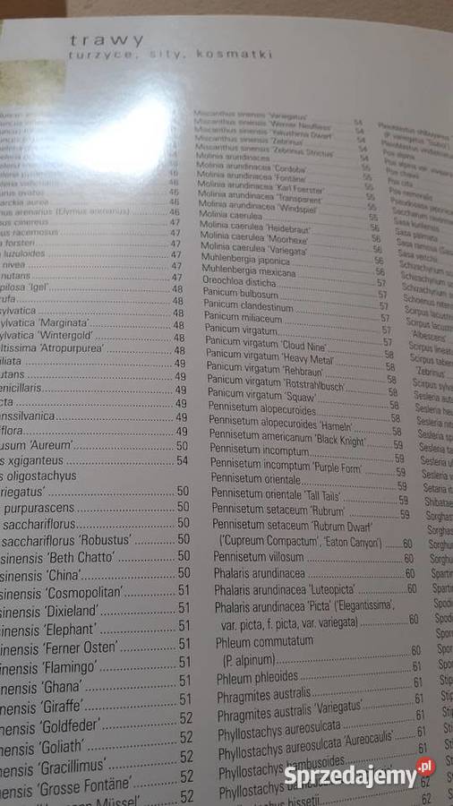 Trawy turzyce sity kosmatki Szczecin