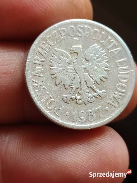 Sprzedam monete 50 groszy 1957 lekka skretka zaq Chełm