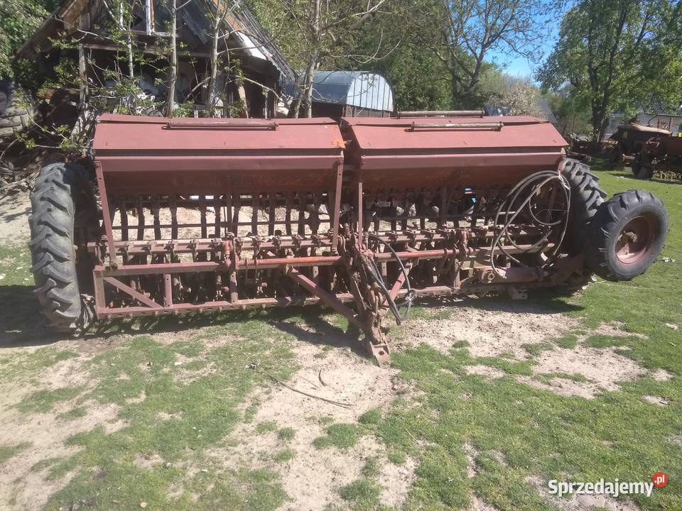 Siewnik rosyjski 4m podkarpackie Tarnawce sprzedam