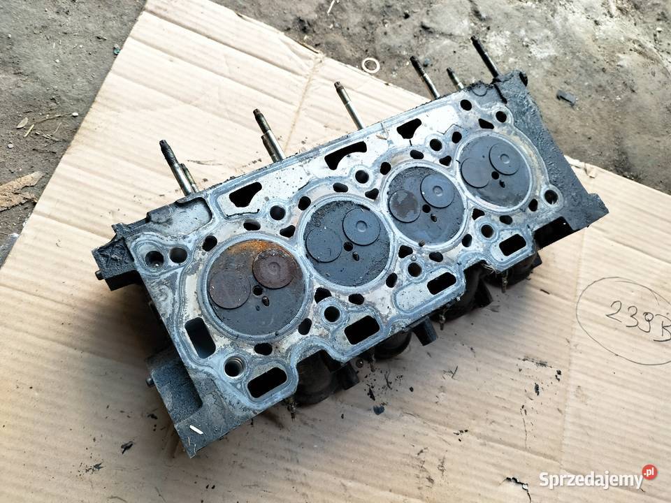 Citroen C3 Mk1 14HDI GŁOWICA Głowice cylindrów lubelskie Kamień-Kolonia