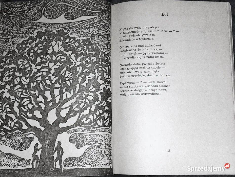 Wrzosy Emil Zegadłowicz miękka Chełm