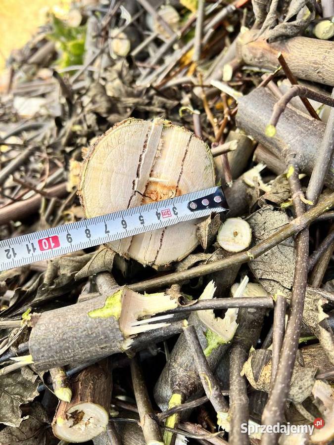 Rębak walcowy łuparka rozdrabniacz gałęzi do 8 Ryki