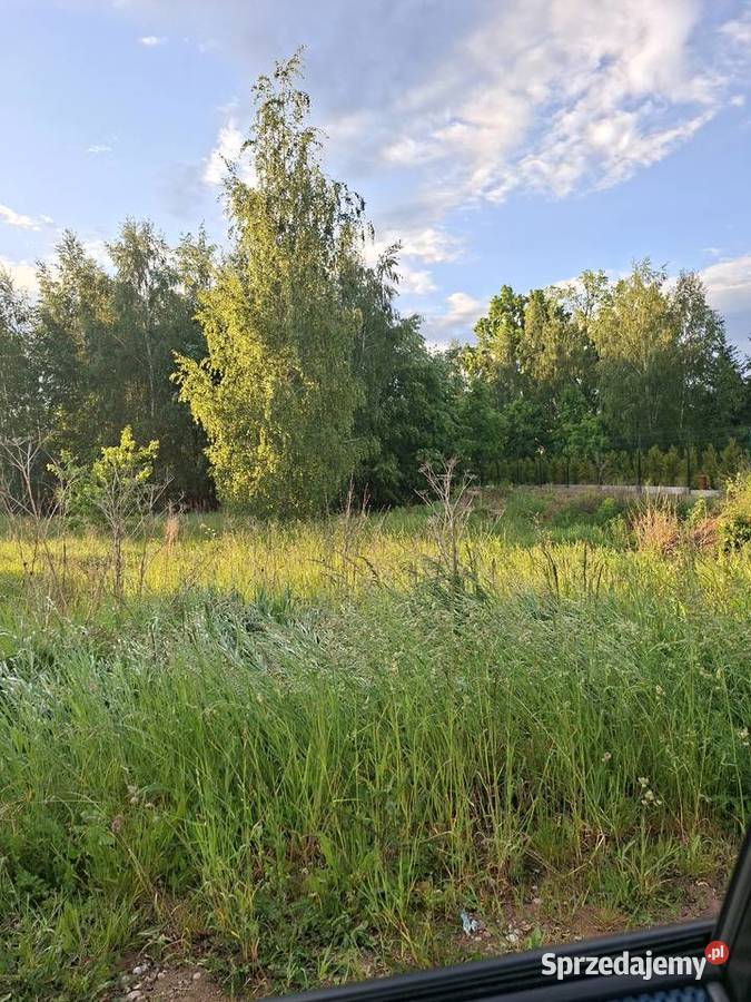 Sprzedam uzbrojoną działkę budowlaną w Małej Sprzedaż