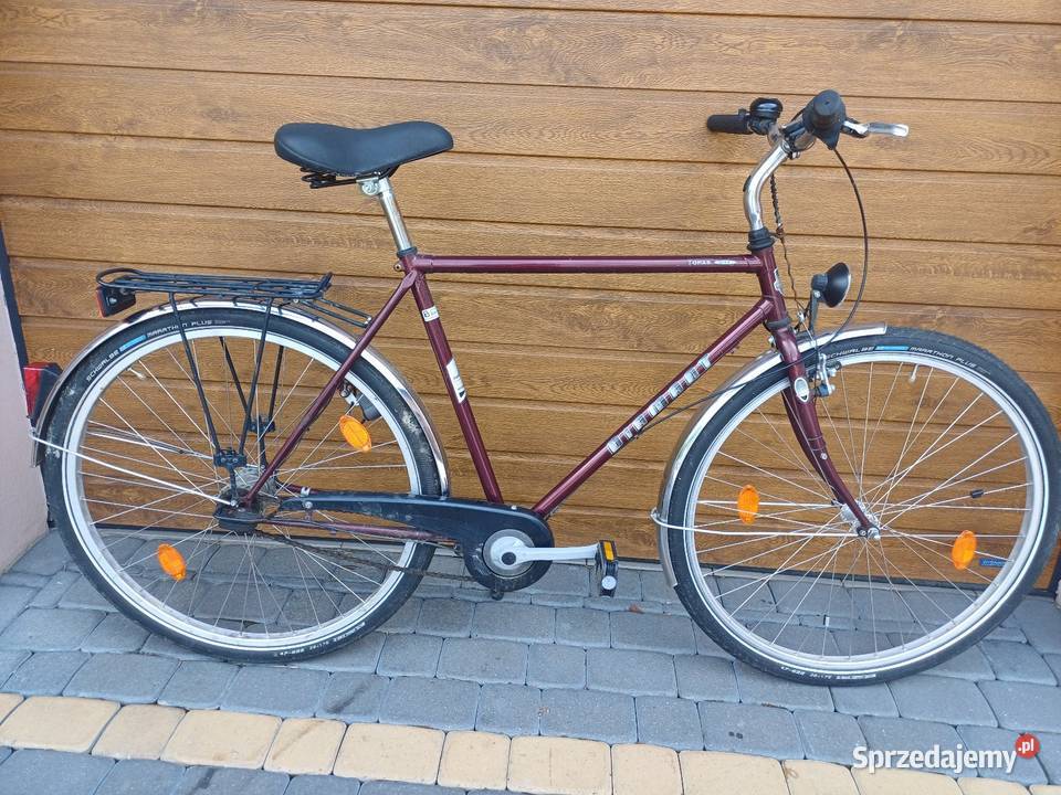 30 rowerów 100 sztukę Miejskie Płocicz
