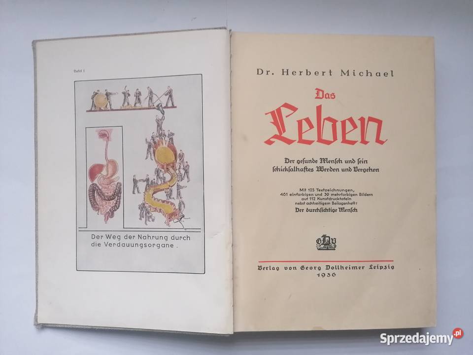 książka anatomia ciała 1936r DrHerbert Michael Piotrków Trybunalski