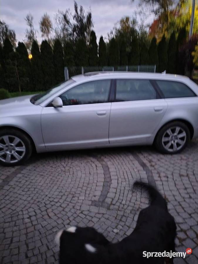 Audi A6 Strzelin