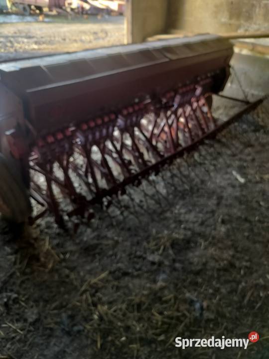 Siewnik poznak Miłochniewice