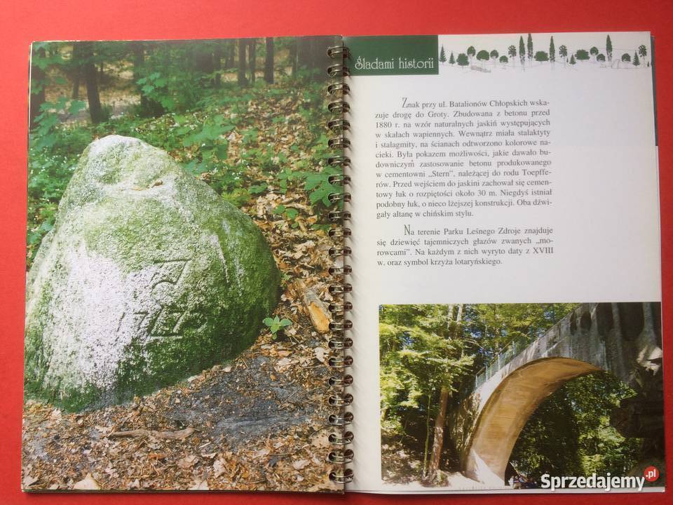 539 Puszcze Szczecińskie 2005 zachodniopomorskie Szczecin