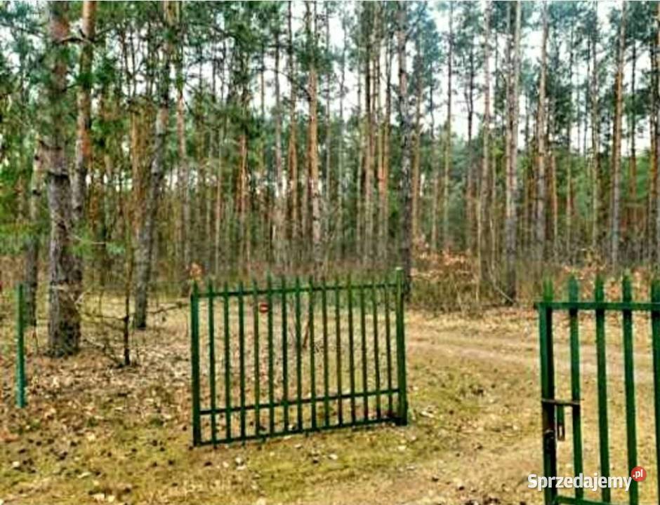 Dzialka budowlana las woda prąd 104zł/m2