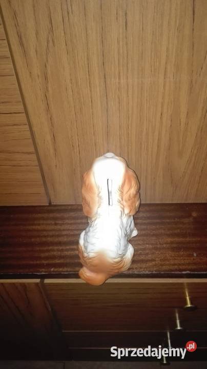 Porcelanowy piesek wielokolorowy mazowieckie Warszawa