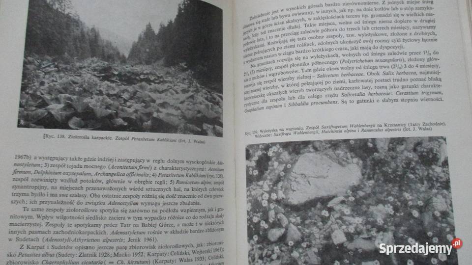 Szata roślinna Polski Szafer roślinnośćPolska Łódź