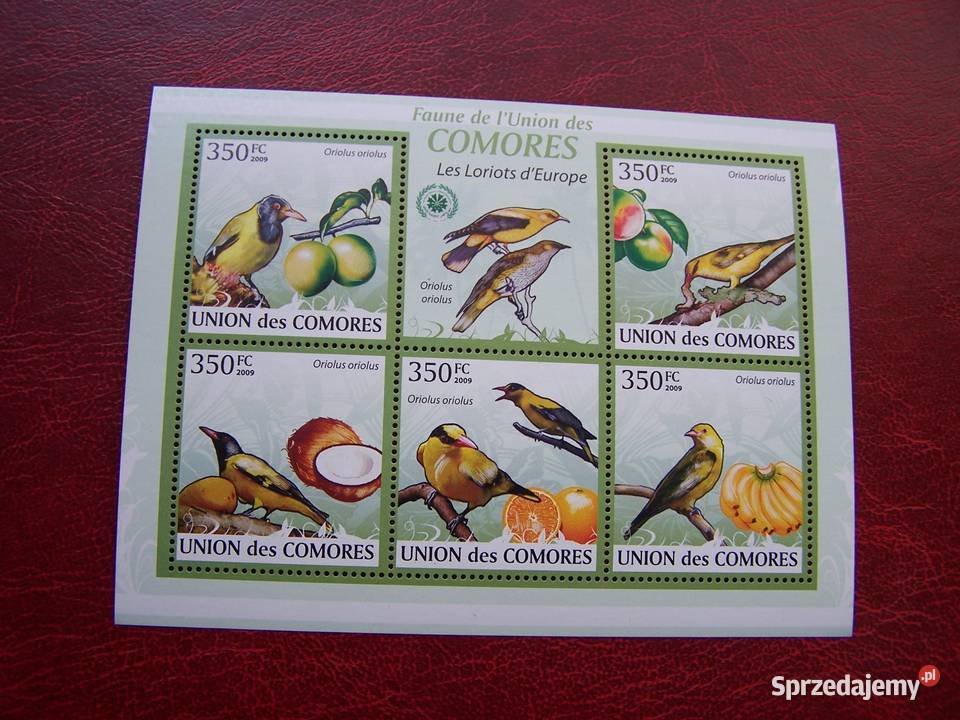 Komory 2009 MNH Fauna Ptaki śląskie Tychy