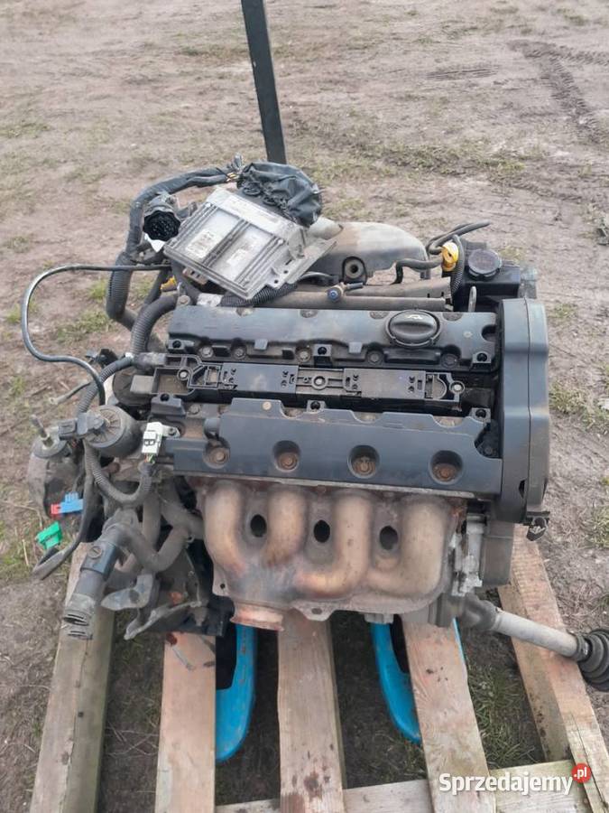 Xsara picasso 18 silnik sprzedam