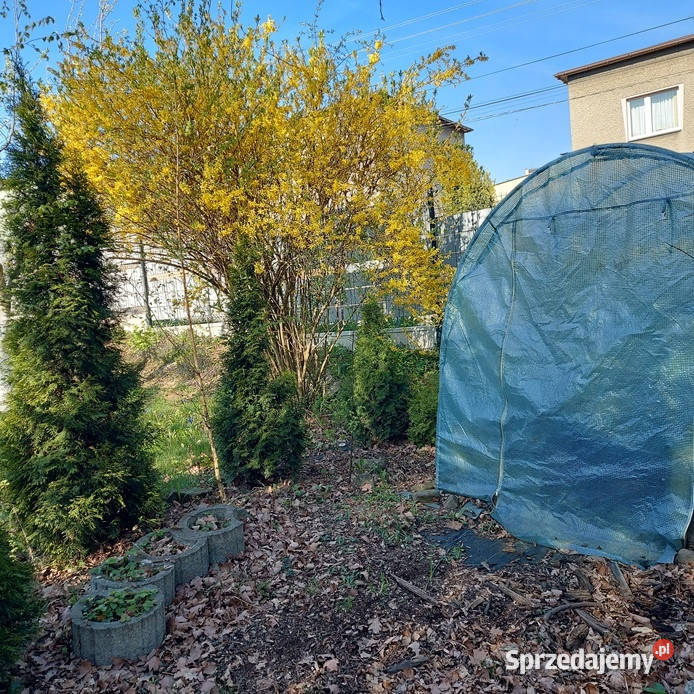 Działka ROD Szarotka Łaziska Górne sprzedam