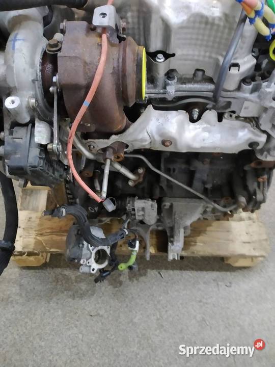 SILNIK KOMPLETNY DIESEL R9NA401 17 DCI 70 sprzedam
