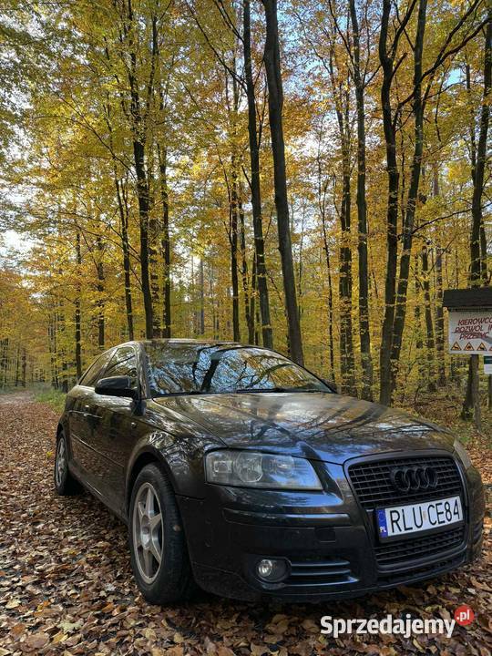 Audi a3 8p 20 TDI Narol