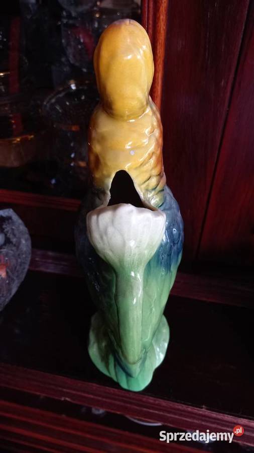 Dzbanekkonefka Papuga Warszawa