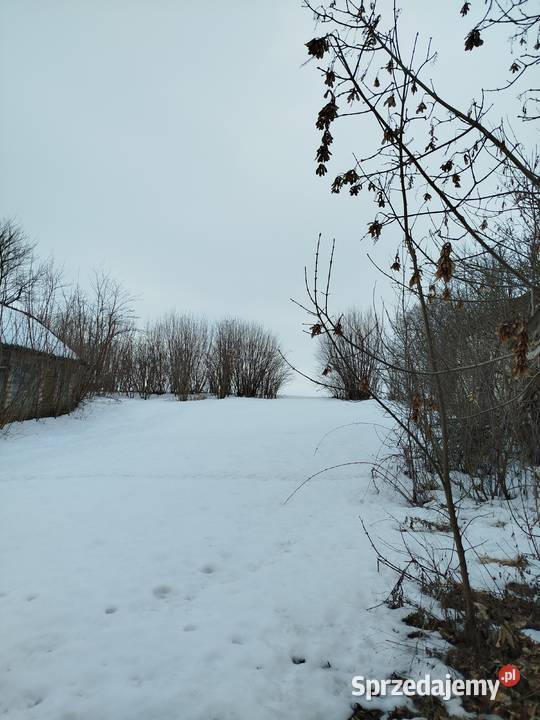 Sprzedam siedlisko z polem ornym klasy Telatyn