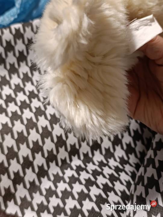 foka Dąbki zabawka pluszowa maskotka pluszak wielkopolskie Poznań