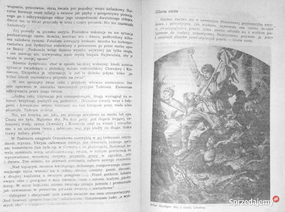 Pozytywizm kl 2 Tadeusz Bujnicki miękka Chełm