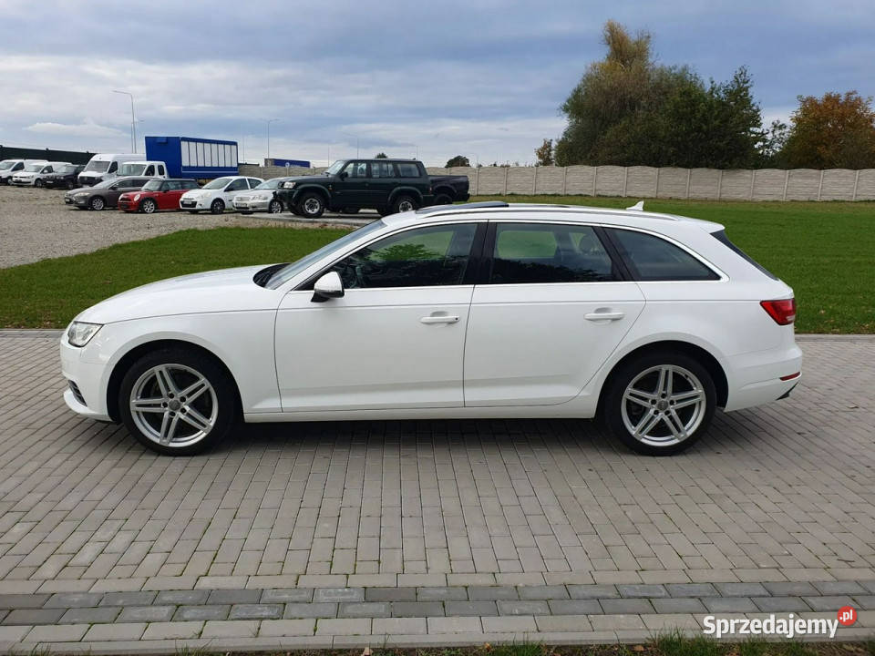 Audi A4 B9 20tdi Automat Panorama Ledy Navi Strobice sprzedam