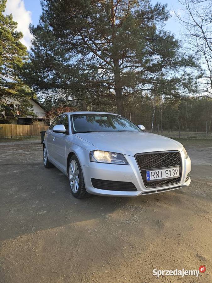Audi A3 8P Sportback 19 TDI