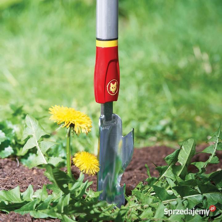 Wycinak do chwastów IWM Wolf Garten Tajęcina