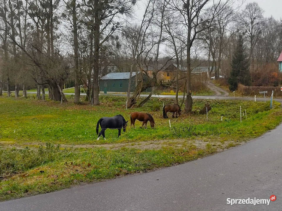 Sprzedam dom wolnostojący Radomirka 686 metrów Liczba pokoi 3 sprzedam