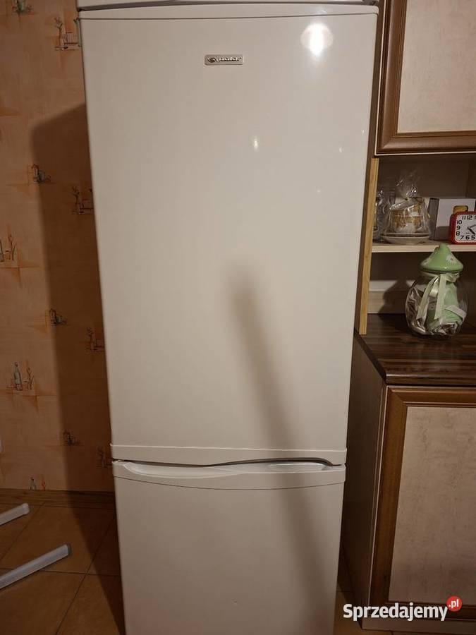 Lodówka z zamrażalnikiem Polar wolnostojące