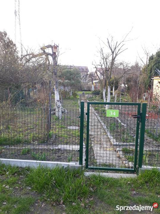 Ogródek działkowy ROD KROKUS Małopanewska Z WODĄ 64zł/m2 Wrocław