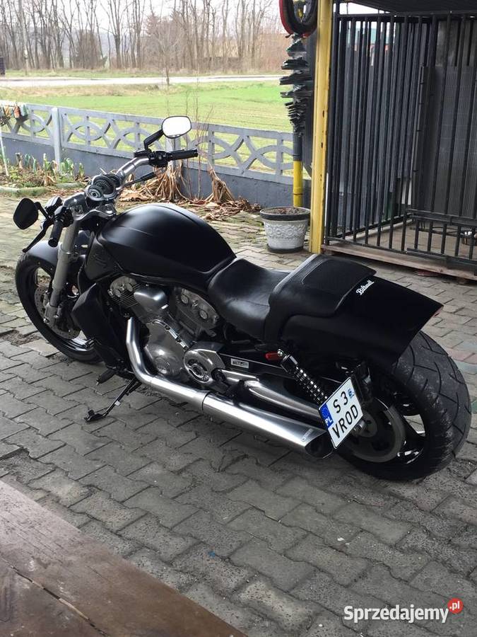 Harley Davidson v rod Muscle Kłobuck