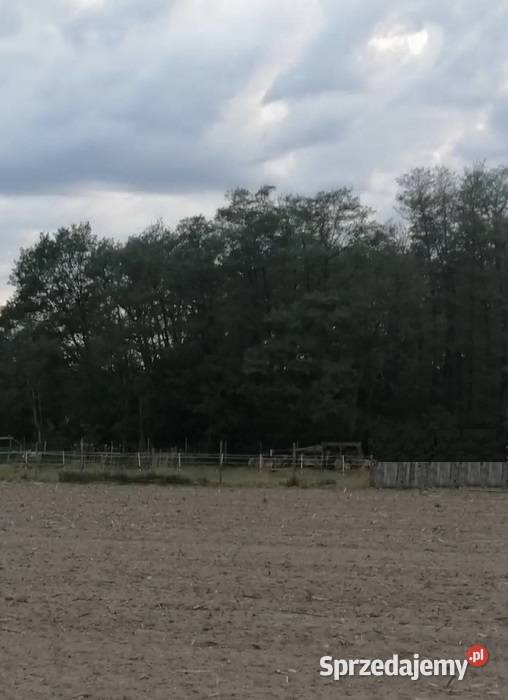 Sprzedam piękną działkę z widokiem na las budowlana Sprzedaż Jeszkowice sprzedam