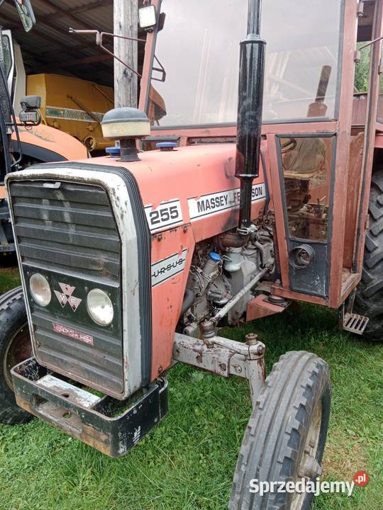 Massey Ferguson 255 zamiana c330 360 245 135 małopolskie Zakopane sprzedam