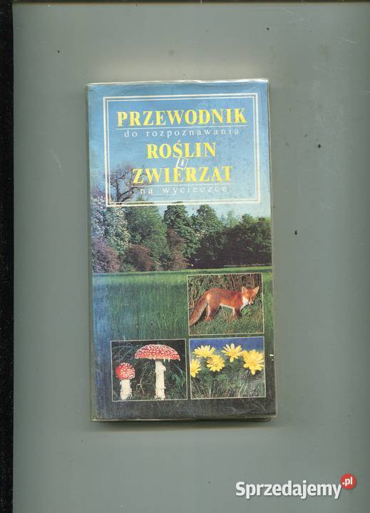 Przewodnik do rozpoznawania Roślin i Zwierząt na Szczecin