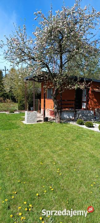 Działka rekreacyjna ROD 227zł/m2 Piotrków Trybunalski