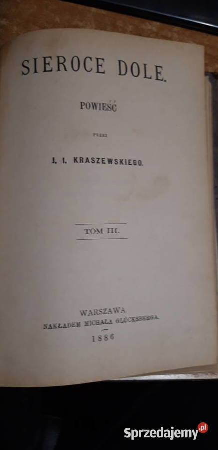 Sieroce Dole T13Kraszewski Warszawa 1886 wyd2 Iwno