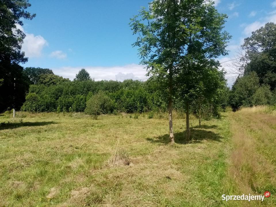 DZIAŁKA ROLNA IVa Z WIDOKIEM NA GÓRY 5000m2 Świecie