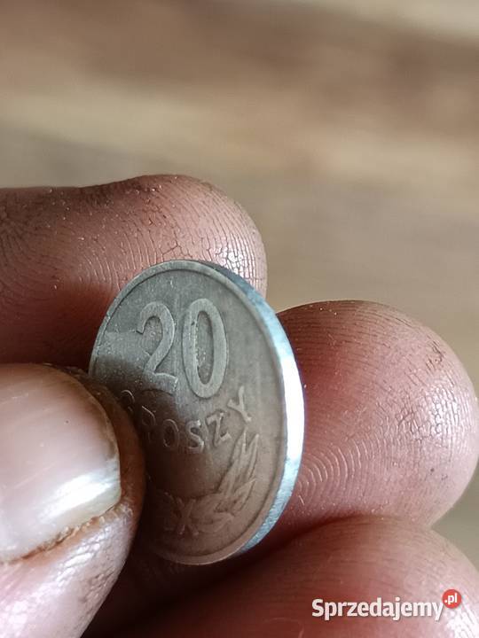 Sprzedam monete 20 groszy 1965 mmm lubelskie Chełm sprzedam