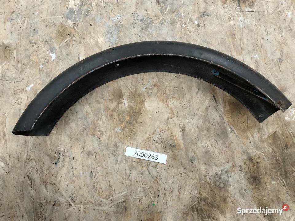 Komar błotnik przedni Rozkochów