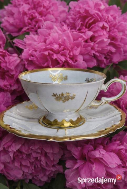 ROSCHUTZ DUO 1906 68 ELEGANCKI ZESTAWSTYL Pabianice sprzedam