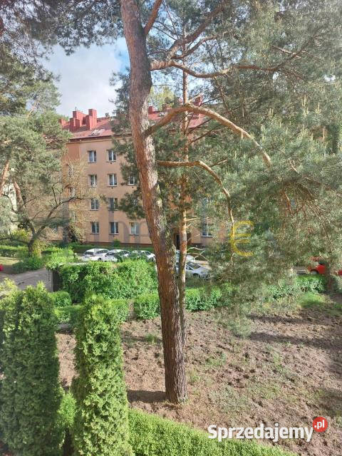 Mieszkanie Warszawa Admiralska 485m2 2pok Wynajem mazowieckie sprzedam