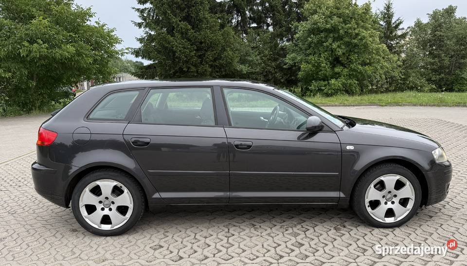 Audi a3 8p 16 lpg nieuszkodzony Morąg