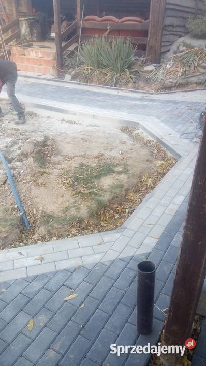 Układanie kostki Ogrodzenia Odwodnienia Izolacja Albigowa