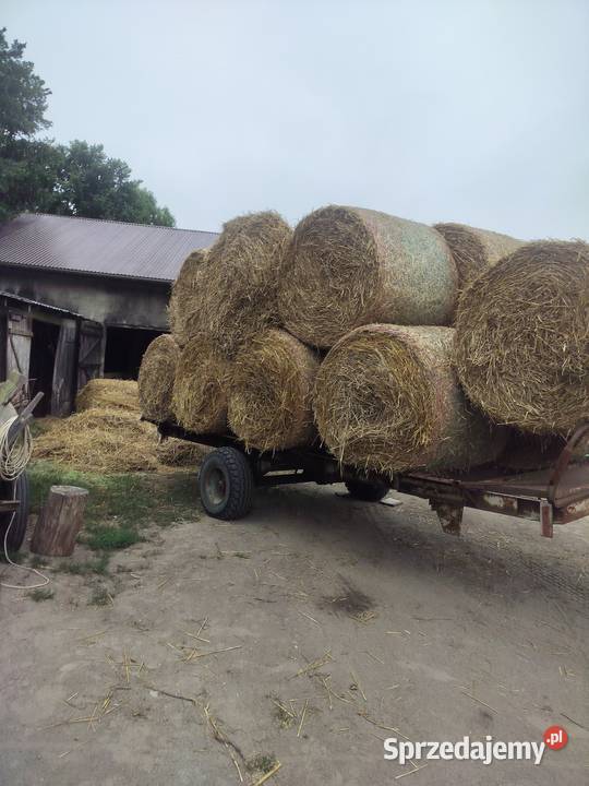Belki Przenzyto i żyto słoma Trawy, słoma Miłochniewice